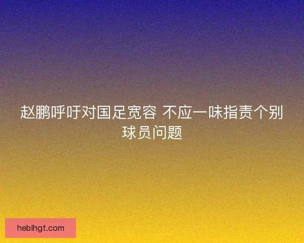 赵鹏呼吁对国足宽容 不应一味指责个别球员问题